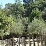 Provencal De Montigal