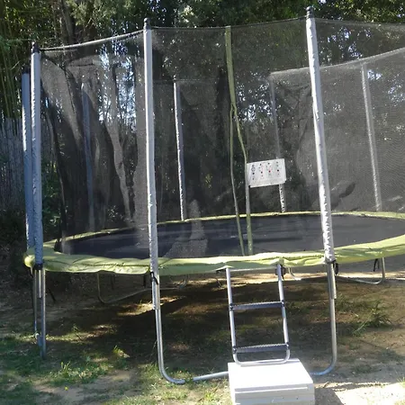 Provencal De Montigal