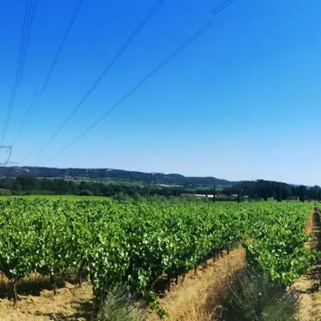 Provencal De Montigal Prázdninový dům Bagnols-sur-Cèze